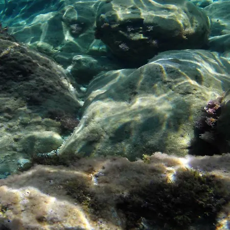 Отель типа 