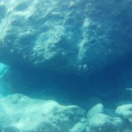 Paradiso